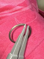 IMG_6242.jpeg