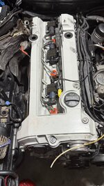 IMG_6397.jpeg