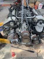 IMG_7366.jpeg
