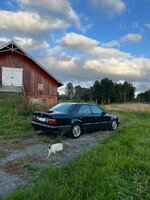 IMG_3206.jpeg