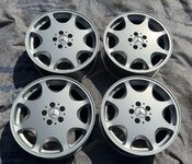 IMG_0113.jpeg IMG_0113.jpeg