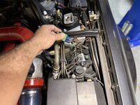 IMG_4118.jpeg IMG_4118.jpeg