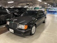 IMG_0718.jpeg IMG_0718.jpeg