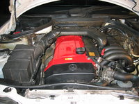 IMG_4830.JPG
