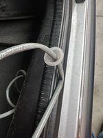 IMG_4566.jpeg