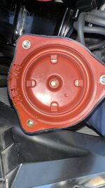 IMG_7332.jpeg IMG_7332.jpeg