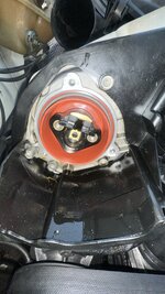 IMG_7336.jpeg IMG_7336.jpeg