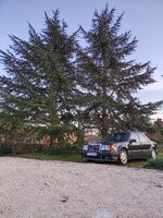 IMG_20260307_170939.jpg