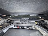 IMG_5238.jpeg