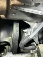 IMG_1469.JPEG