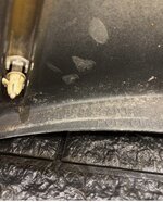 IMG_3241.jpeg