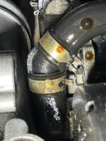 IMG_8893.jpeg