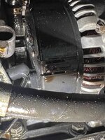 IMG_8891.jpeg