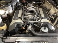 IMG_2769.jpeg