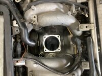 IMG_2770.jpeg