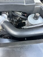 IMG_8151.jpeg
