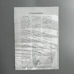 IMG_5961.JPEG