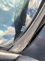 IMG_7223.jpeg