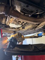 IMG_5965.jpeg