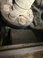 IMG_3653.jpeg
