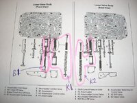 IMG_1229.jpeg