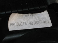 IMG_4931.JPG
