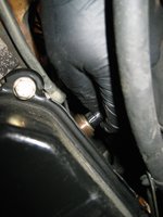 IMG_4966.jpg IMG_4966.jpg