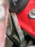 IMG_4981.jpg