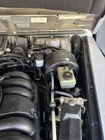 IMG_6784.jpeg