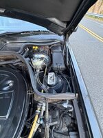 IMG_4375.jpeg