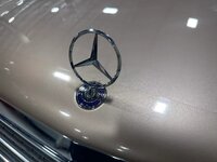 IMG_1260-scaled-34773.jpeg