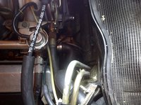 Driver's Side Heater Hose 2.jpg