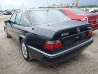 25388404_3X.JPG