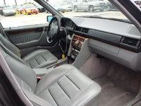 25388404_5X.JPG