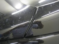 IMG_7565.JPG