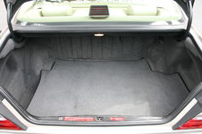 Trunk1.jpg