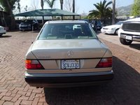 NB793026-21sm.jpg