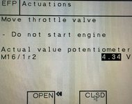 Efp_potens.jpg