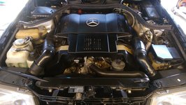 IMAG4535_zpse8mqid4f.jpg