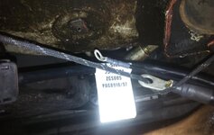 shoelace on harness.jpg