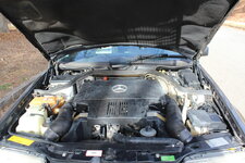IMG_1011_zpsnr1aj5c3.jpg