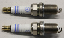 F8DC4_OE3.jpg
