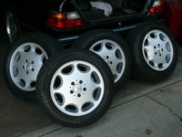 8Holers 001.jpg