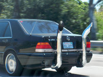 W140_rear.jpg