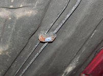IMG_0534.jpg