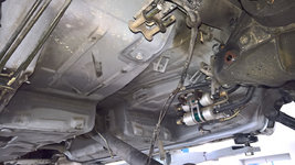 WP_20161005_14_46_18_Pro.jpg