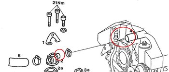 Coolant Hose.jpg