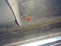 img_20161224_101919_31845583715_o.jpg