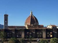 IMG_7531.JPG