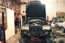 IMG_5170.JPG